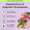 Lemme Burn Probiotic Vitamin C Capsules
